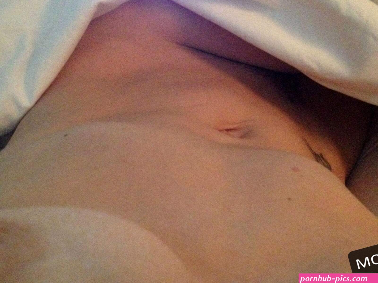 SARAH WAYNE CALLIES Nude