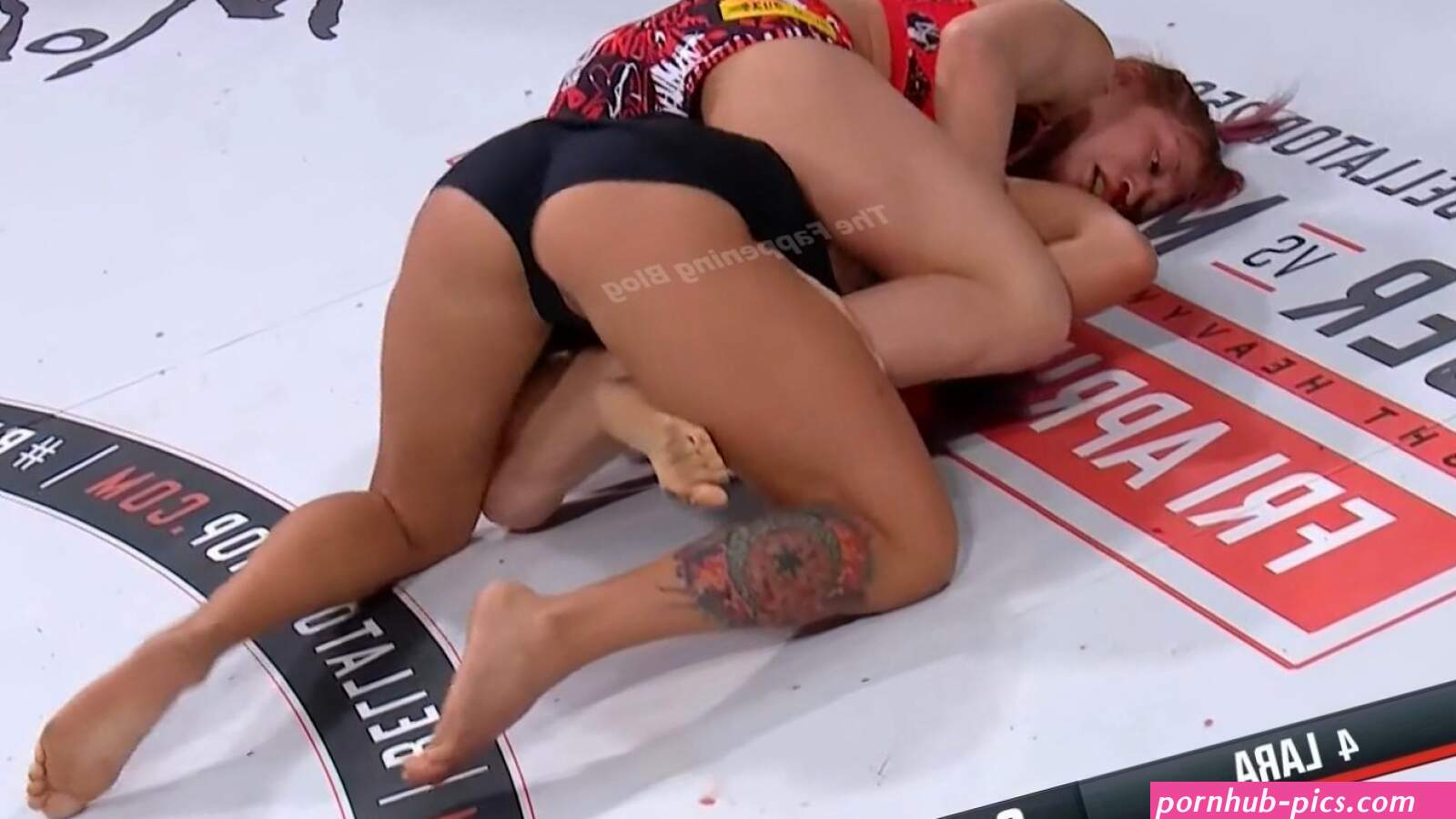 Alejandra Lara Sexy Pussy Lip Slips During Fight With Kana Watanabe at Bellator 255