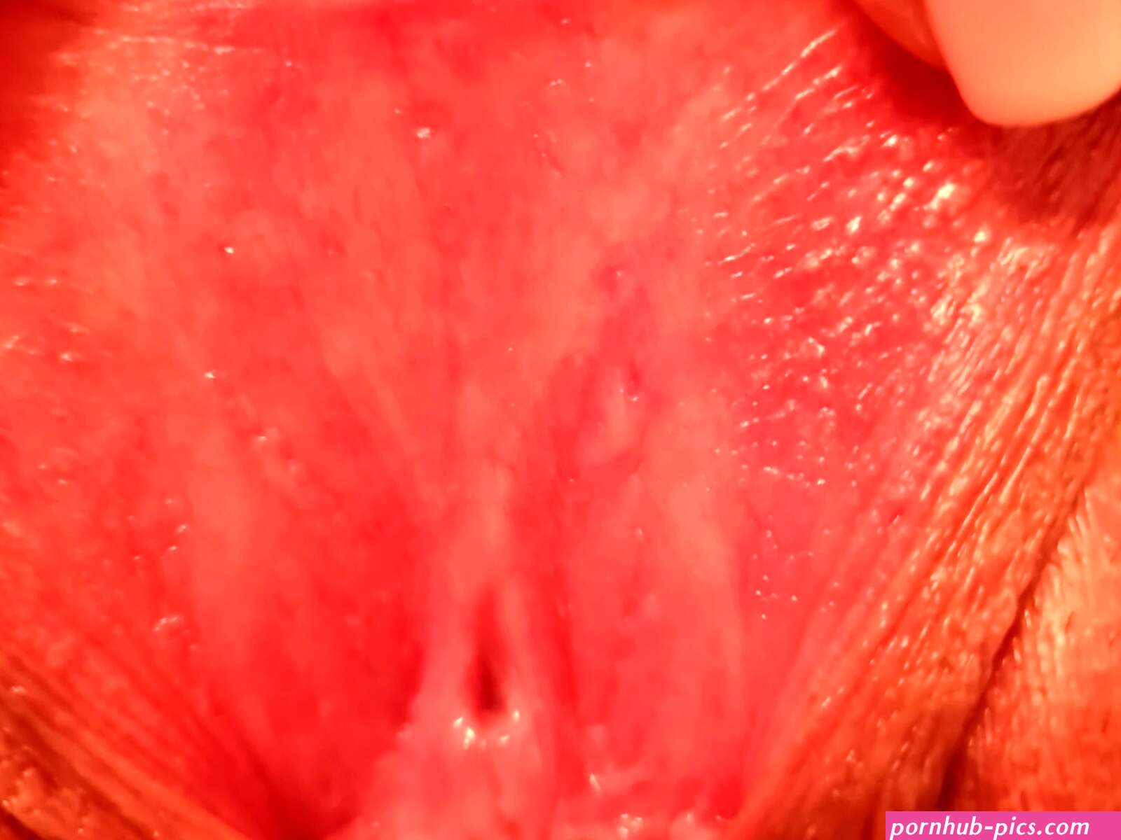 Pussy close-up: 3 Nude Pics
