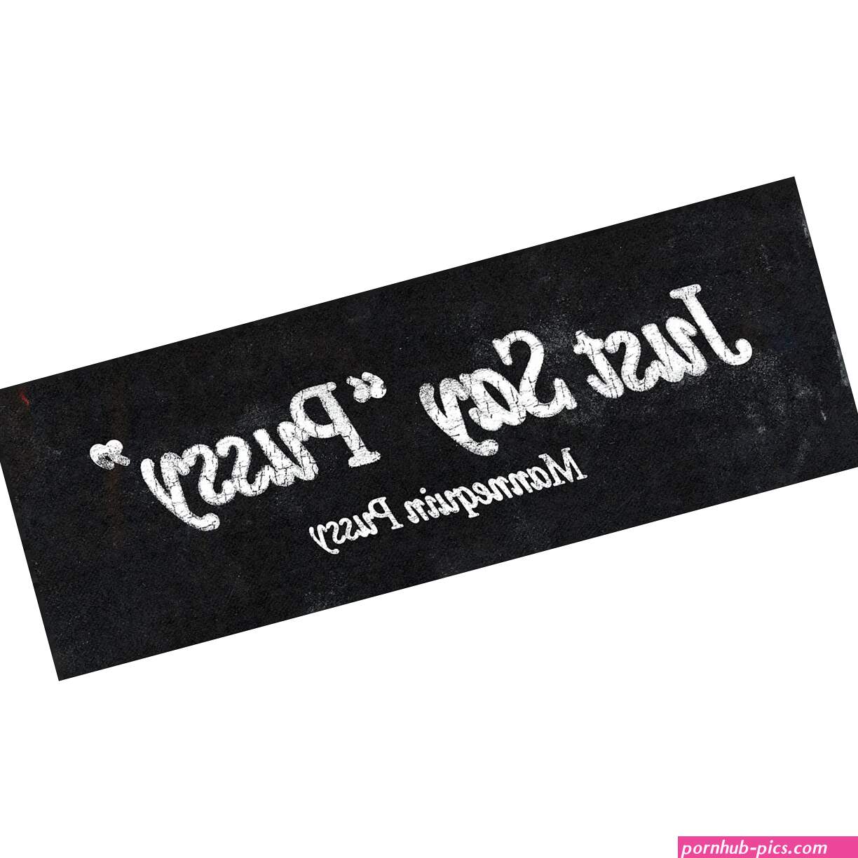 Just Say Bumper Sticker