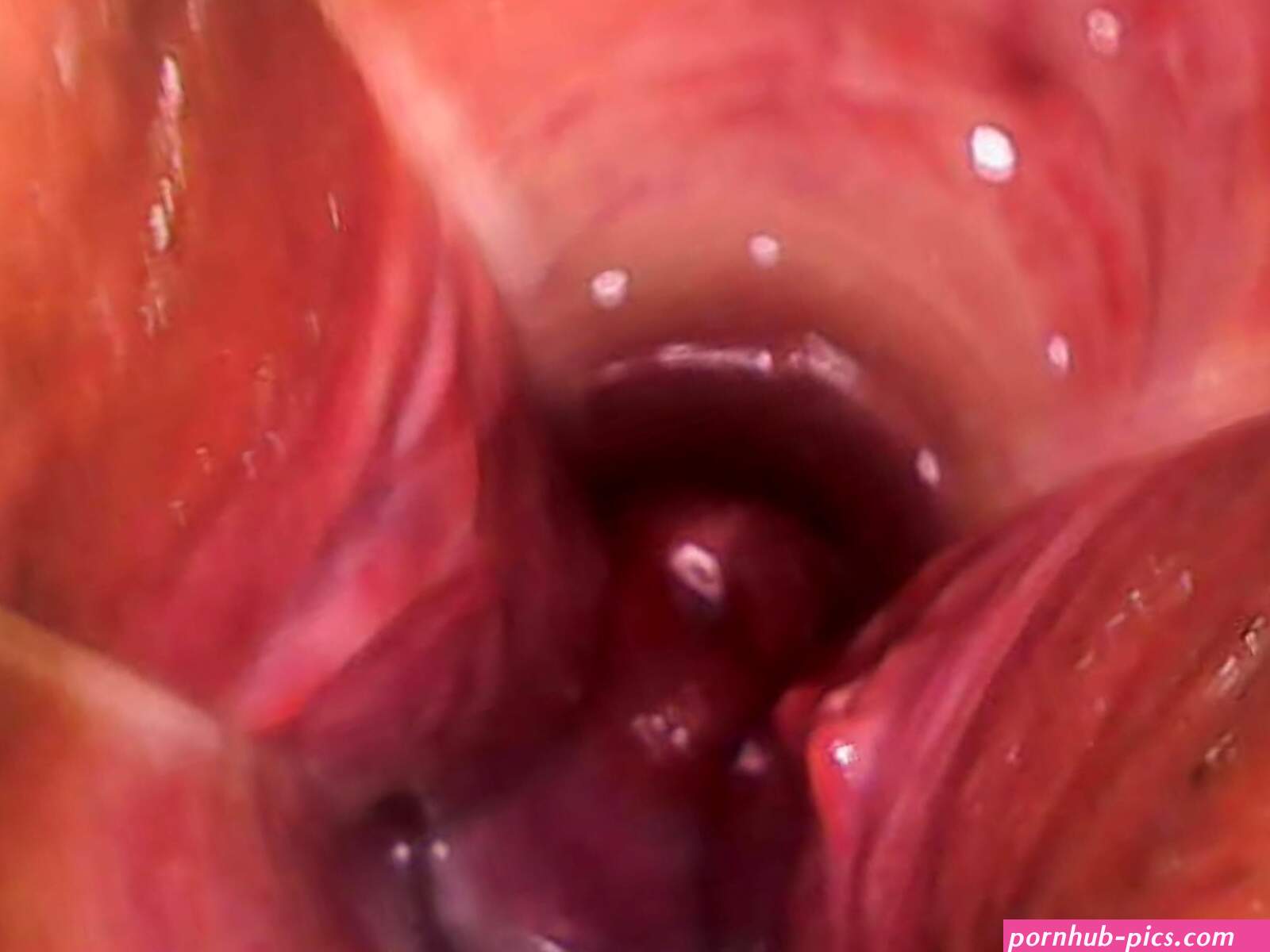 Endoscope Examination of My Pussy and Cervix: Shemale Porn feat. Trip Richards by Just for fans
