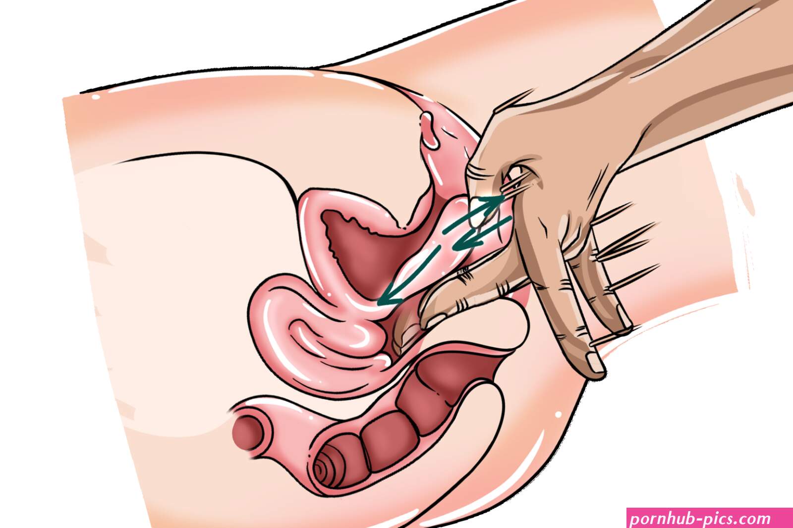 How To Make Her Squirt EasilyTips Techniques For Next Level Orgasm