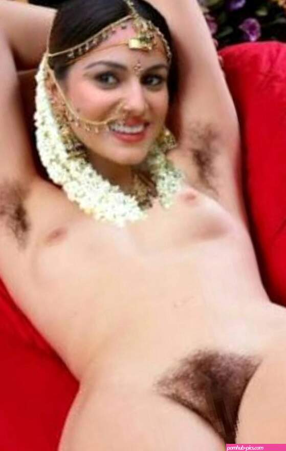 Hairy Arabian Porn