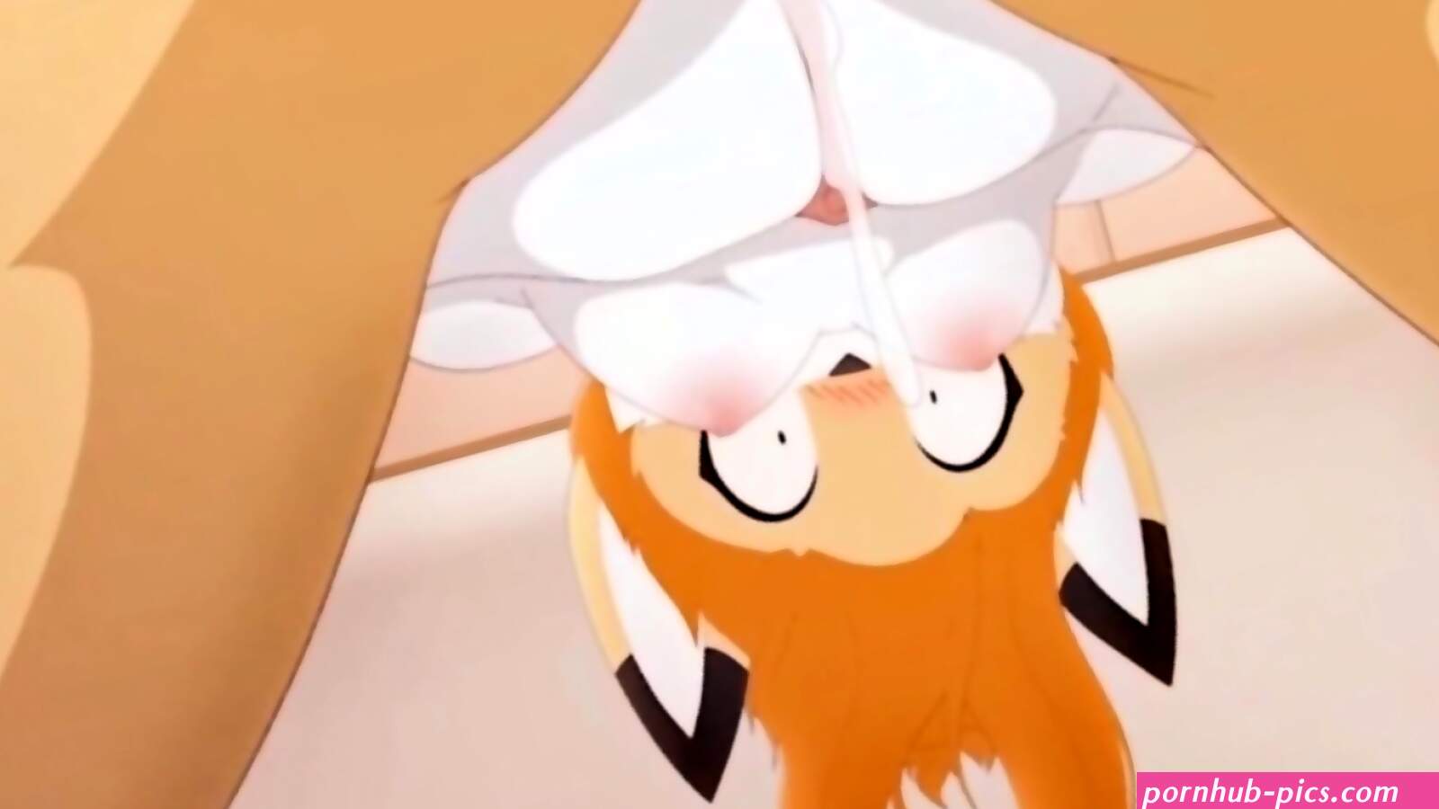 Straight Furry Porn