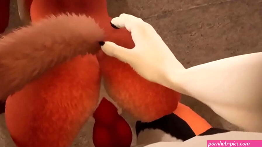 Furry yiff cgi porn Vaginal Penetration Straight