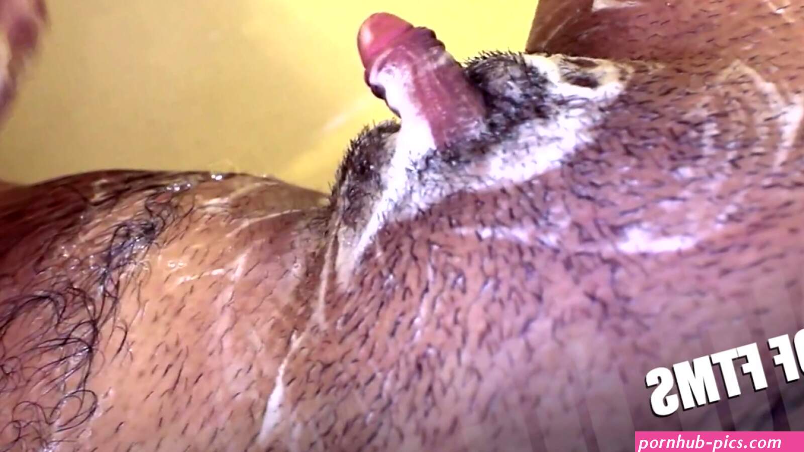 HD: FTM Transman Masturbates off his Humungous Hard-On and Squeals in Bathroom