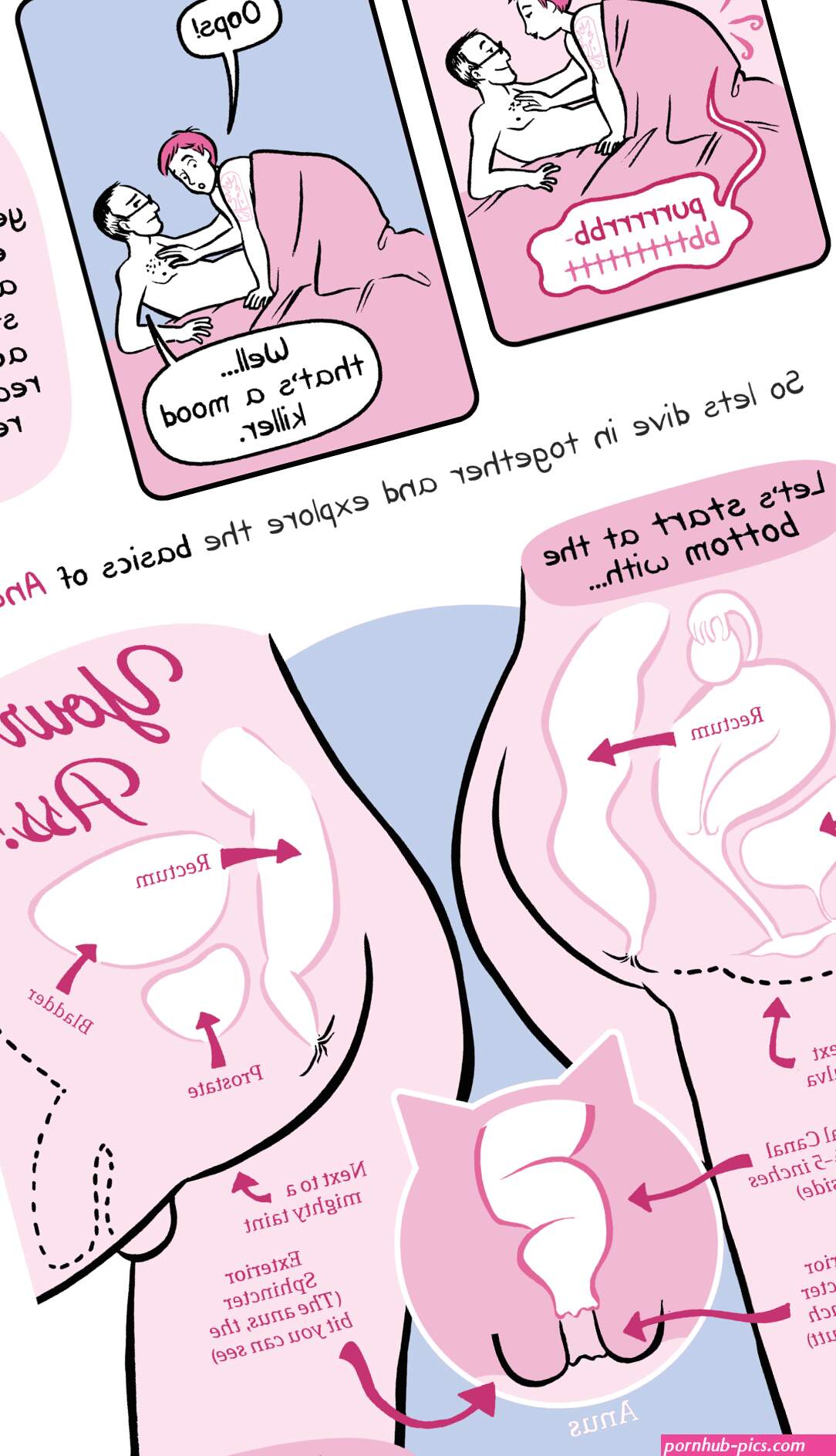 Oh Joy Sex Toy