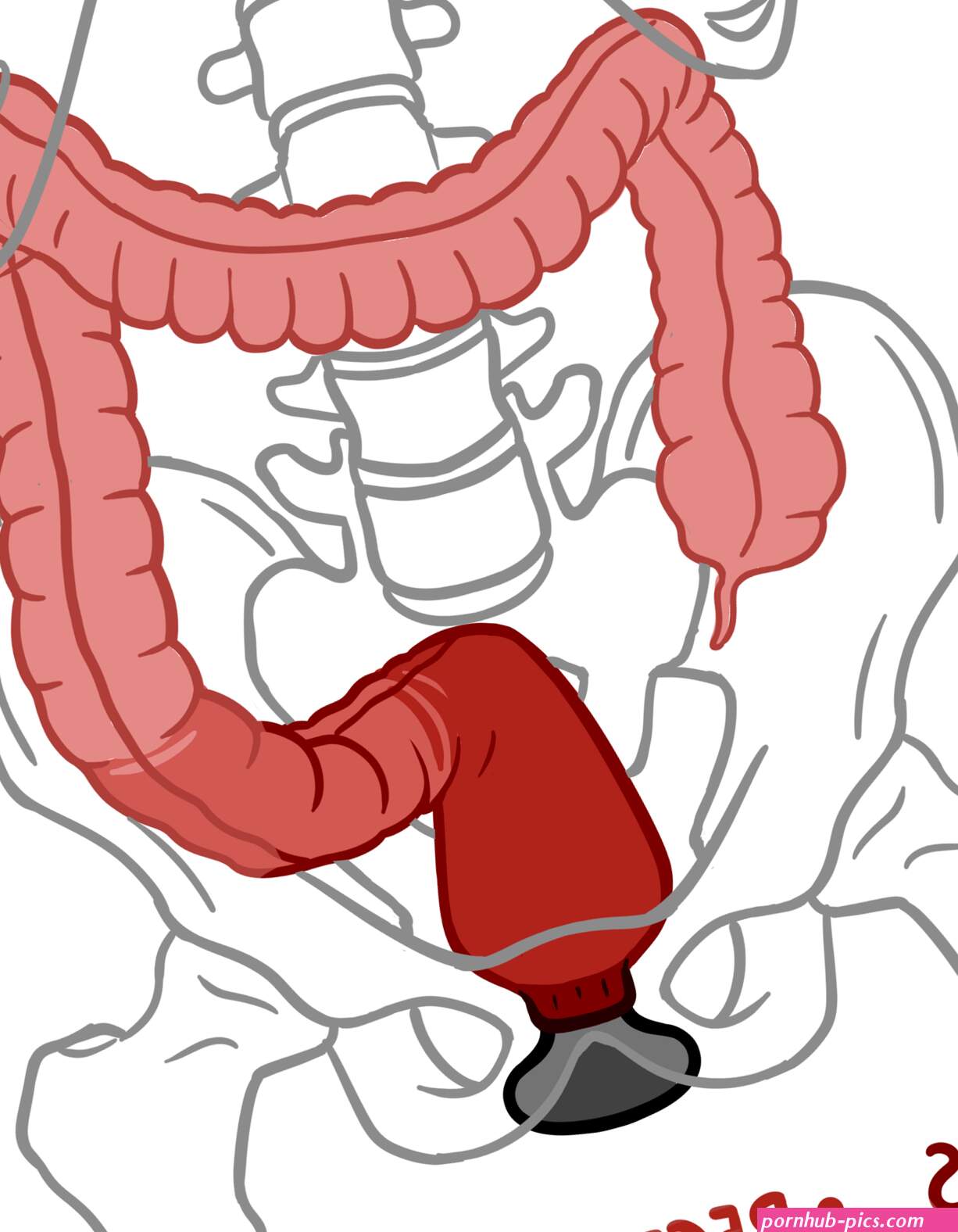 An In-Depth Guide to Anal Training Stretching Gaping