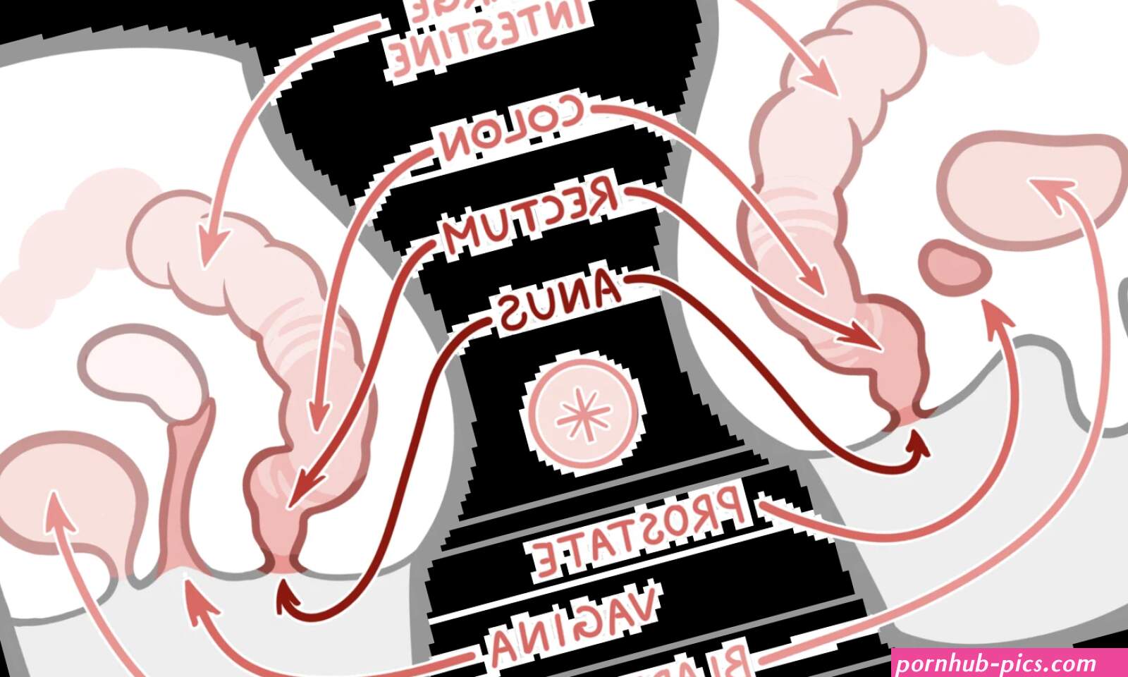 An In-Depth Guide to Anal Training Stretching Gaping