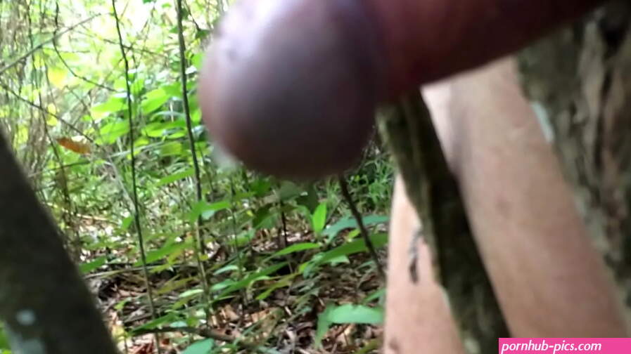 Risky Outdoor Tree Fuck