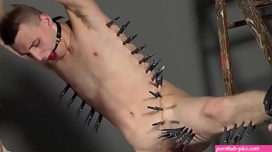 Bound and restrained man gets clip and enjoys a blowjob