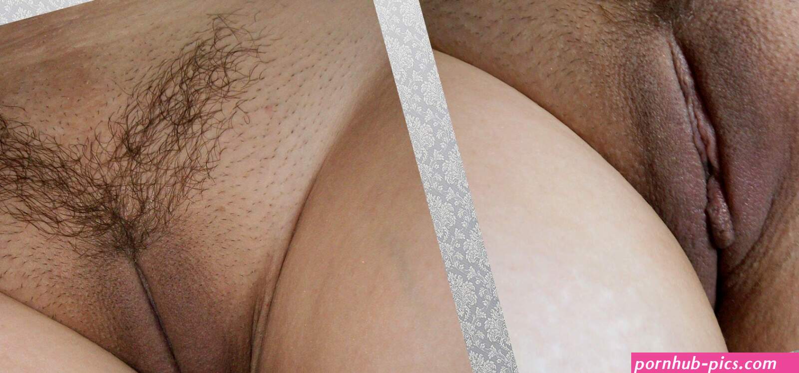 TrimMed Pubes in Porn
