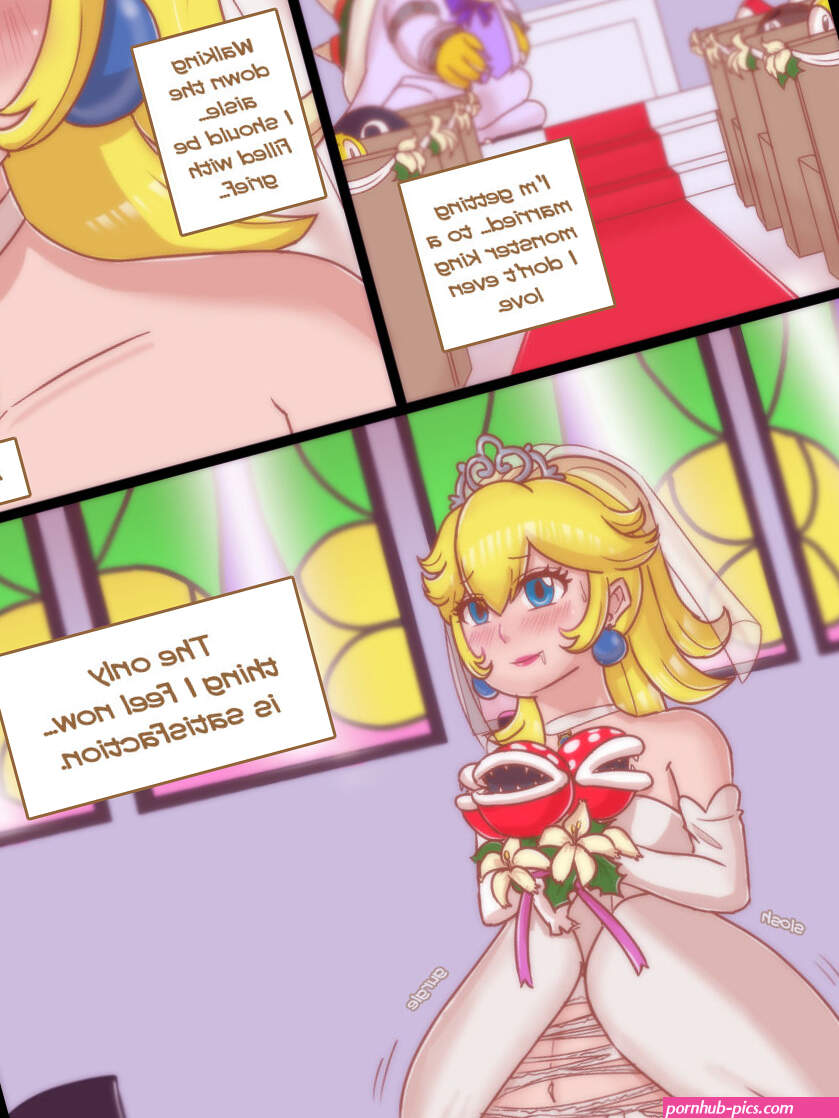Last Affair Super Mario Bros. free Porn Comic