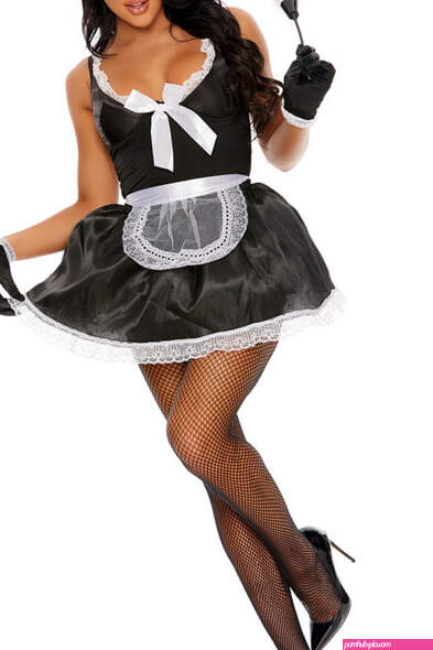 Domesticated Delight Sexy French Maid Costume- Spicy Lingerie