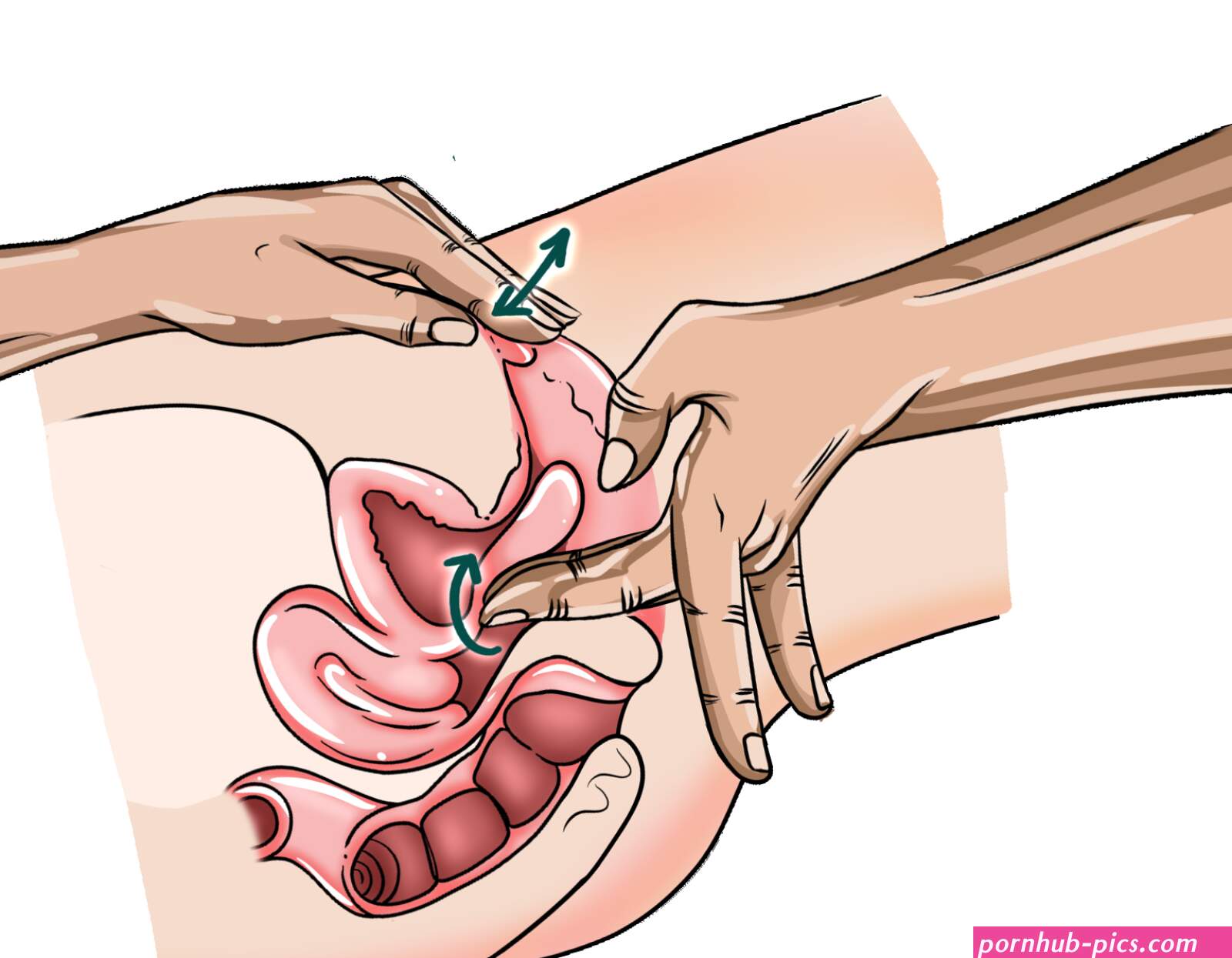 The Ultimate Guide On How To Make A Girl Squirt Without The Guesswork