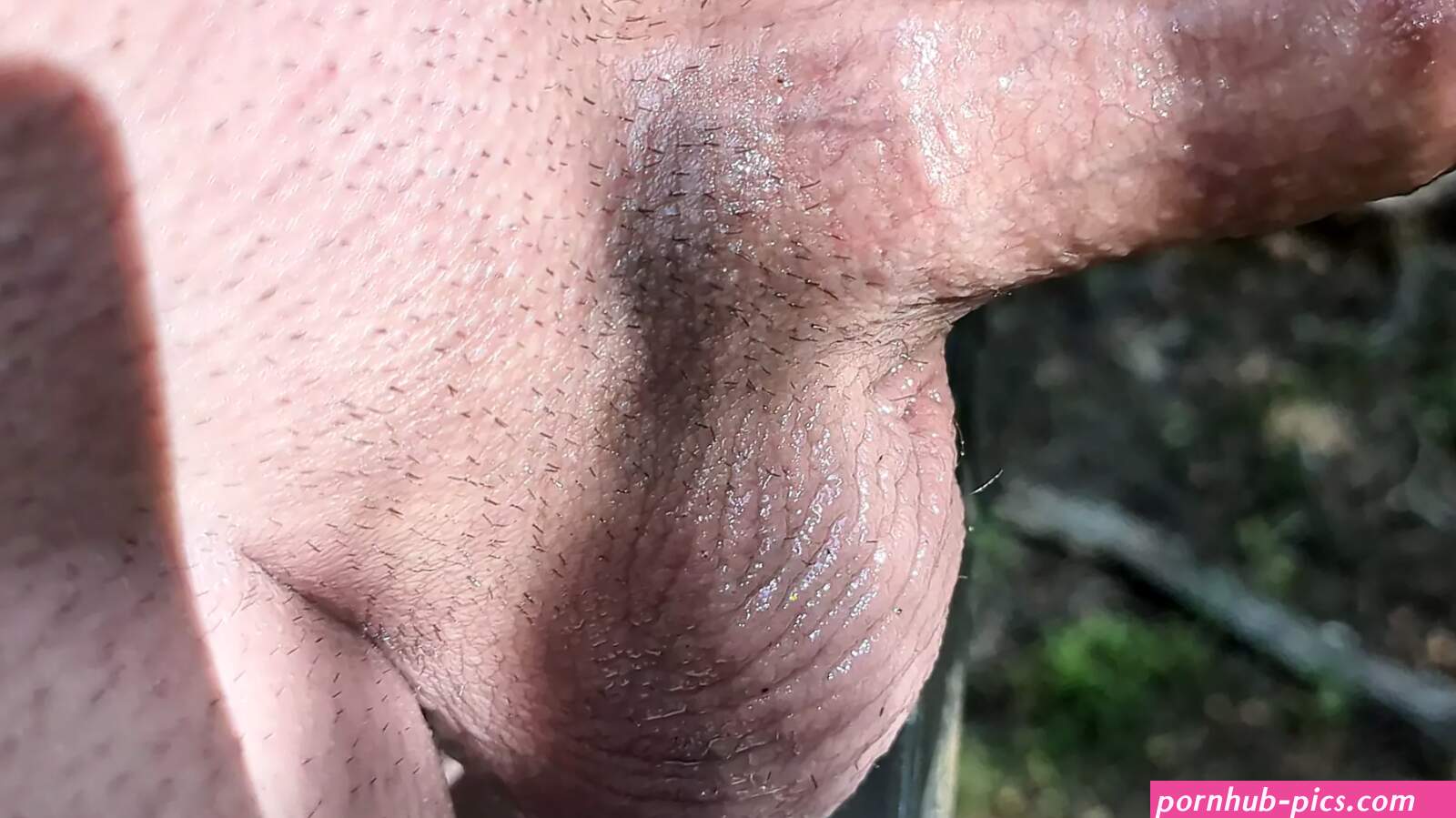 Deer Stand Porn Videos: Gay Full HD 1080p XXX 2026