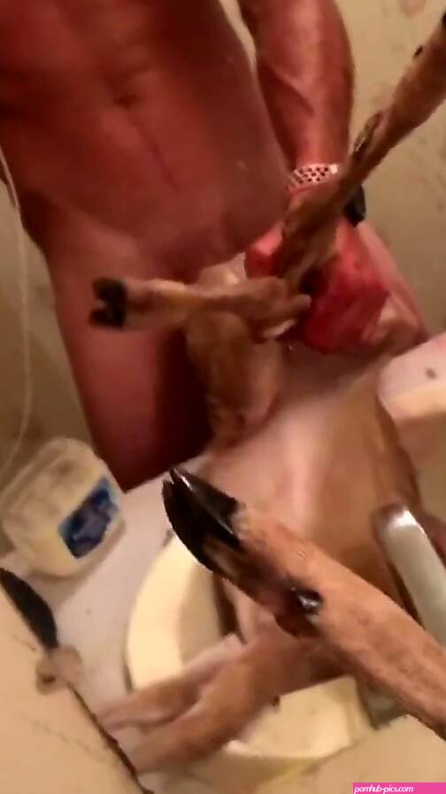 Naked man fucks a dead animal in the ass and films himself