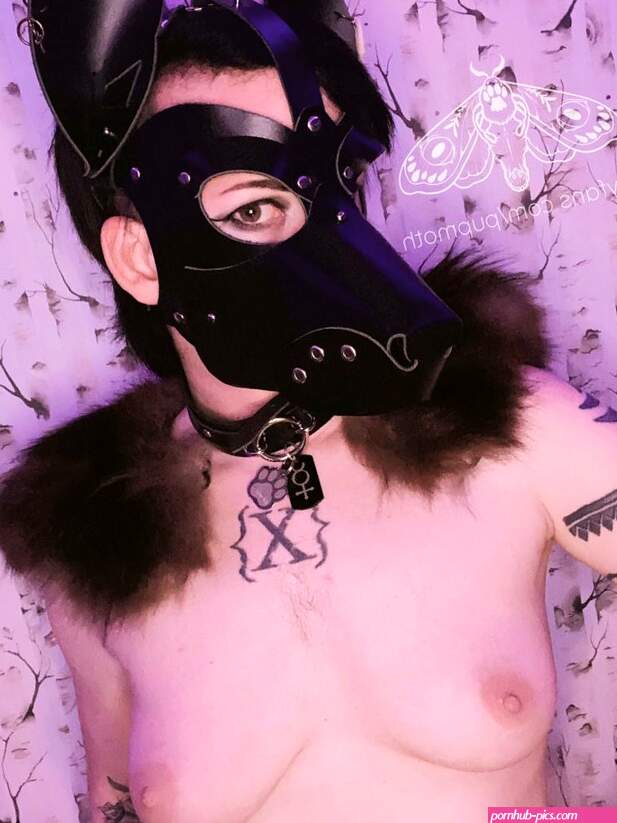 pupmoth pupmoth Nude Leaked OnlyFans Photo fapelloi23