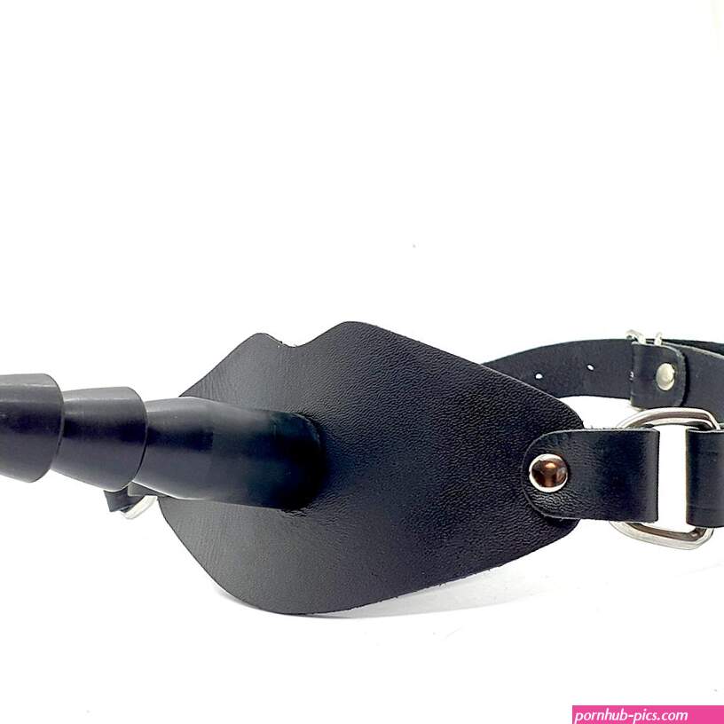 Anal Plug Ball Gag