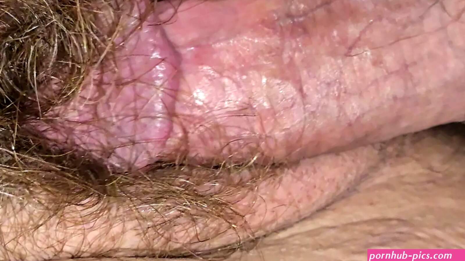Amateur Hairy Creampie POV Porn Videos: XXX 2026 5