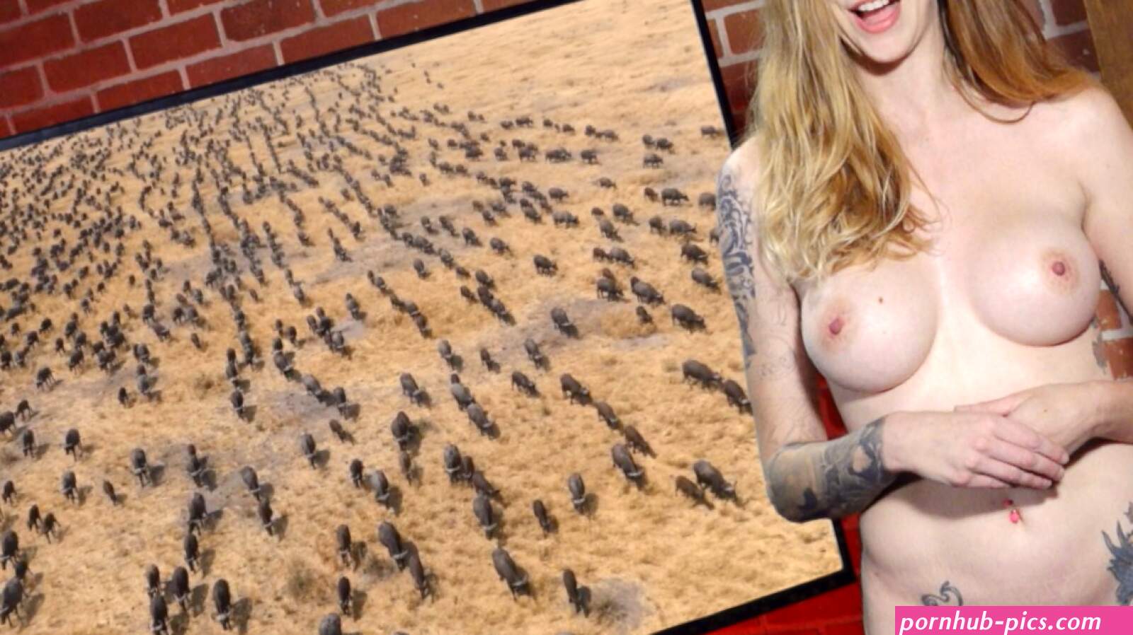 Emma rose inside the box the full monty our planet ii amy schumer emergency contact w65931