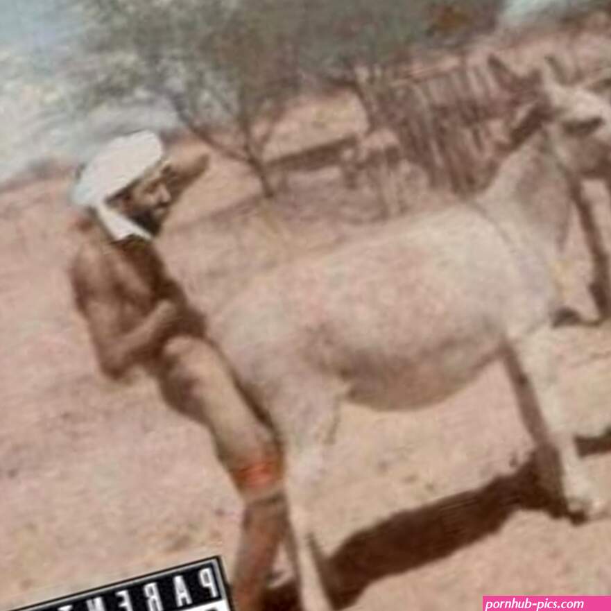 Stream Donkey fuck by Young Jay