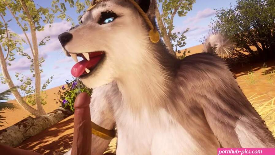 Lucky guy fucks a busty slut to cum many times in Wild Life hardcore sex