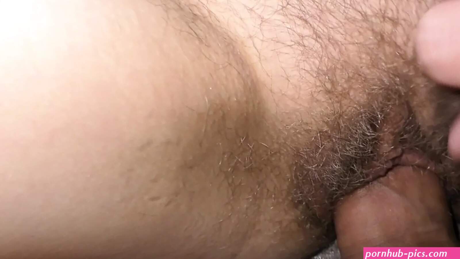 Young Hairy Pussies Porn Videos