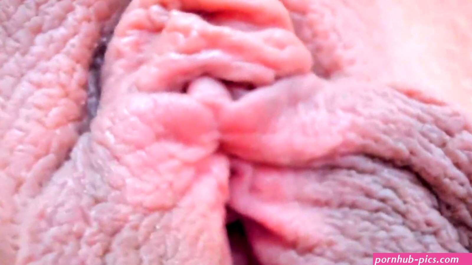 Dana Play with her Large Pussy Lips Closeup Extreme Detail 1080p