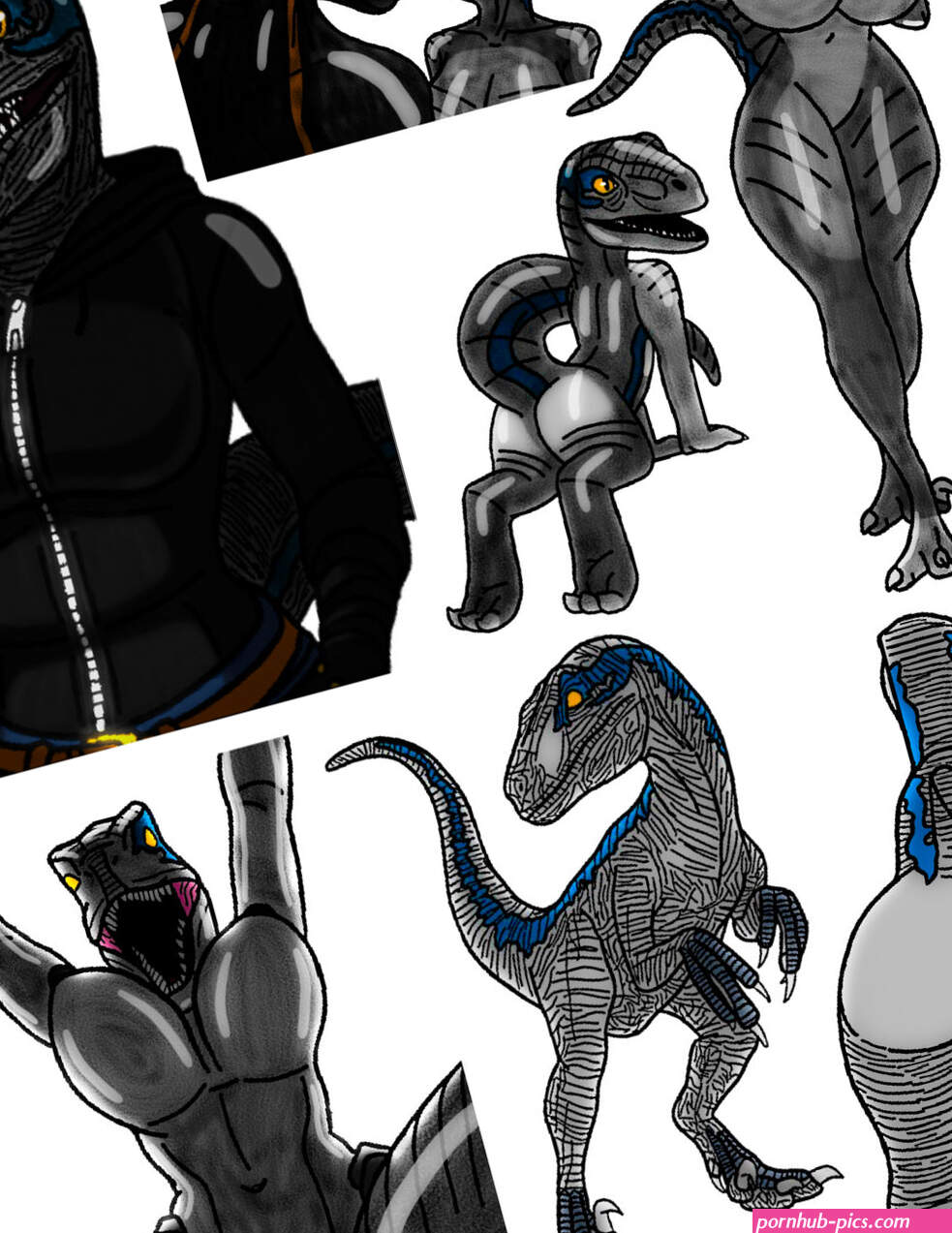 Blue Profile by Jurassicworldcards on DeviantArt