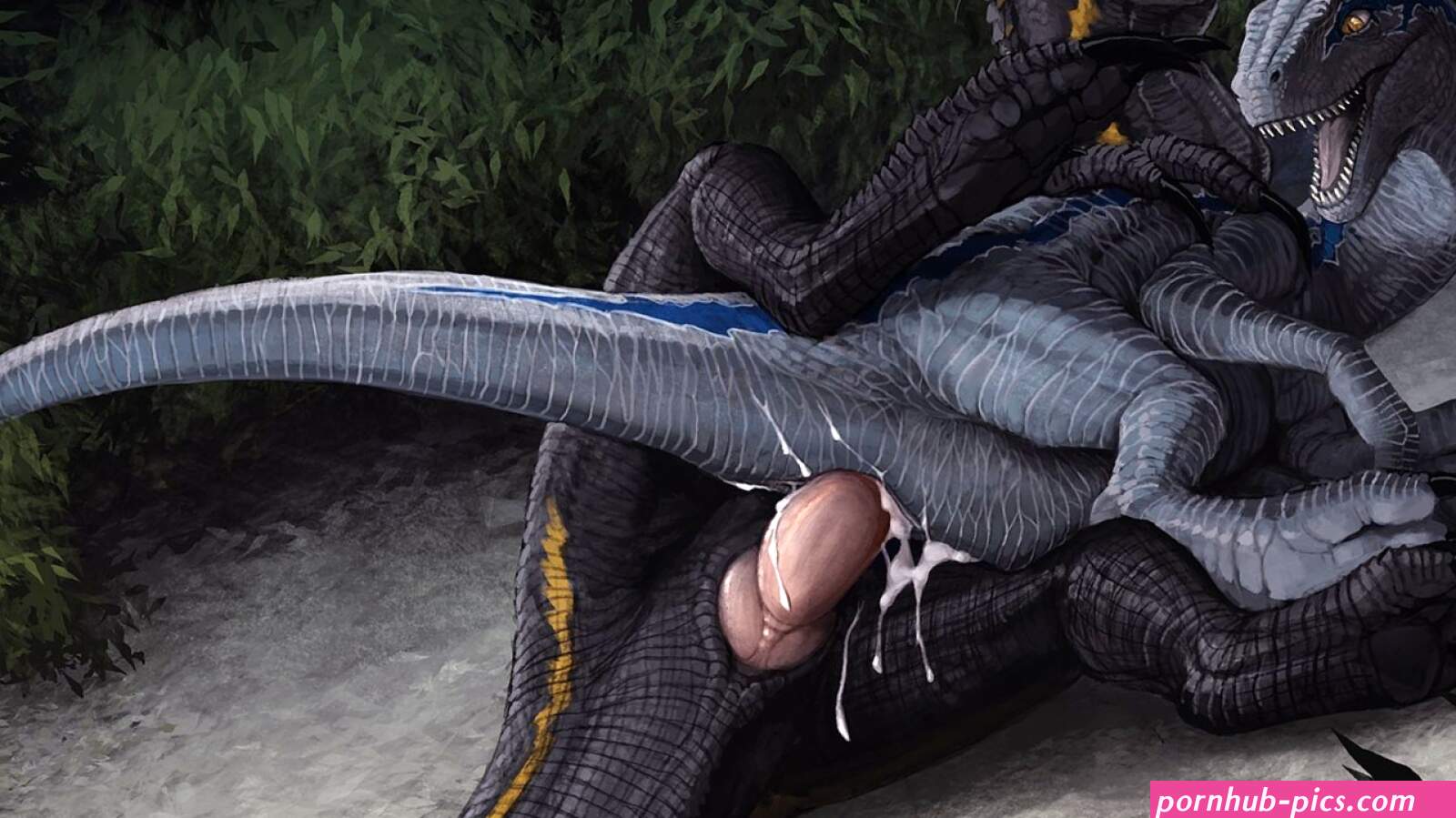 Rule 34