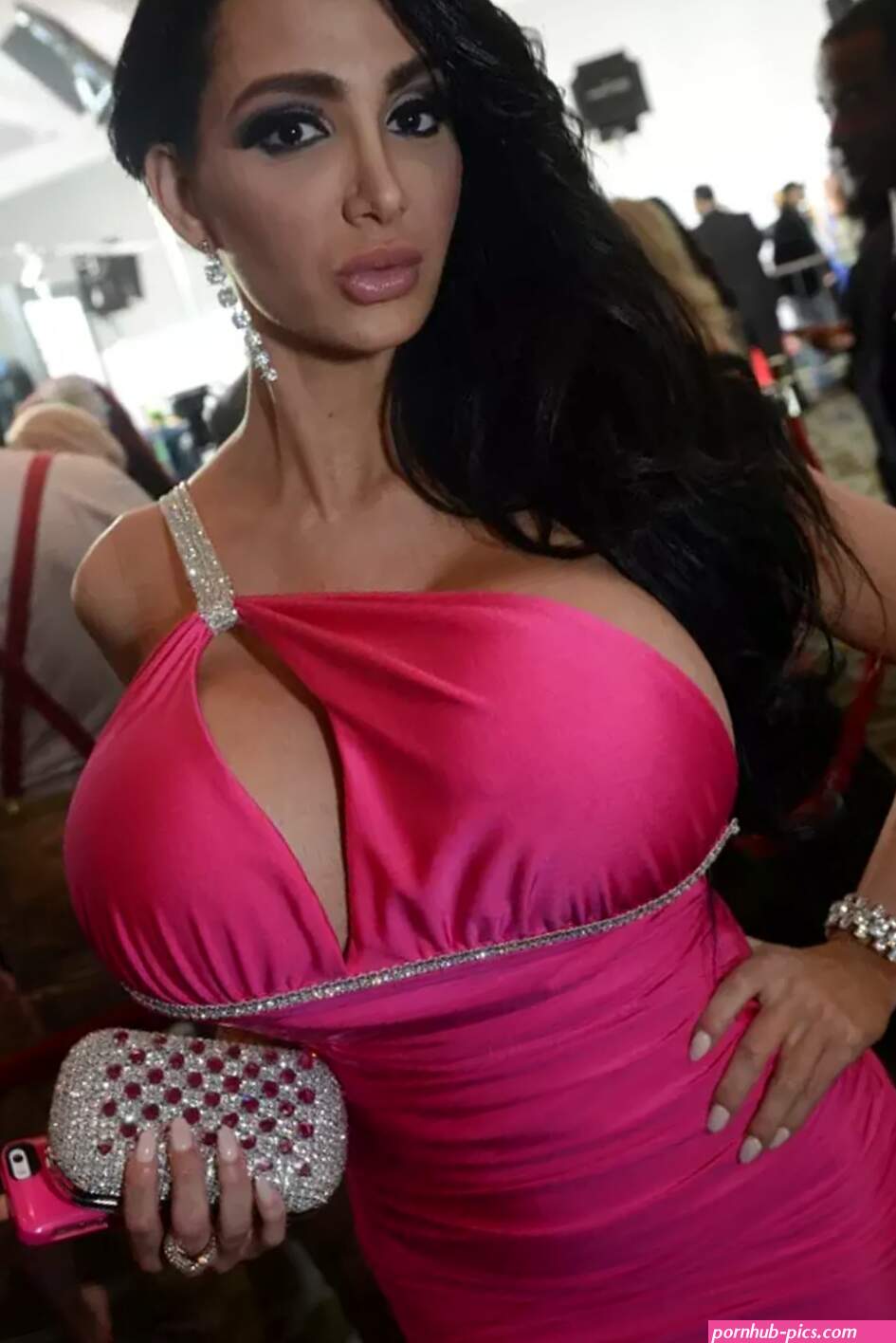 Porn Stars and Starlets Celebrate at the 2014 AVN Awards NSFW