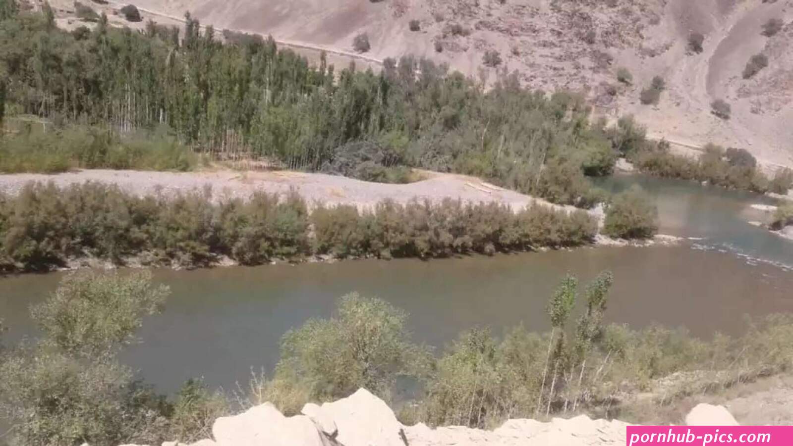 کوچی کوس