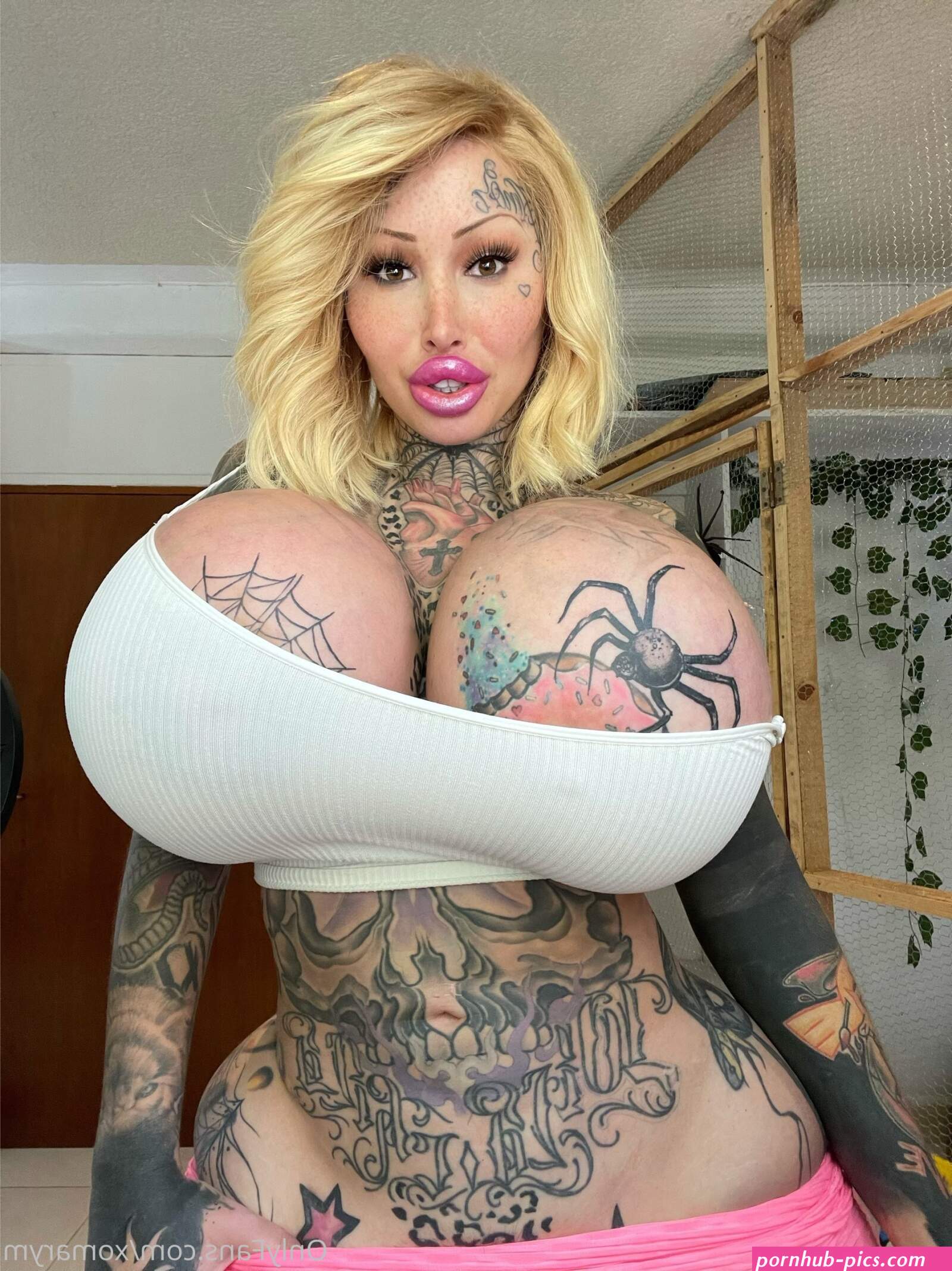 xomarym only fans