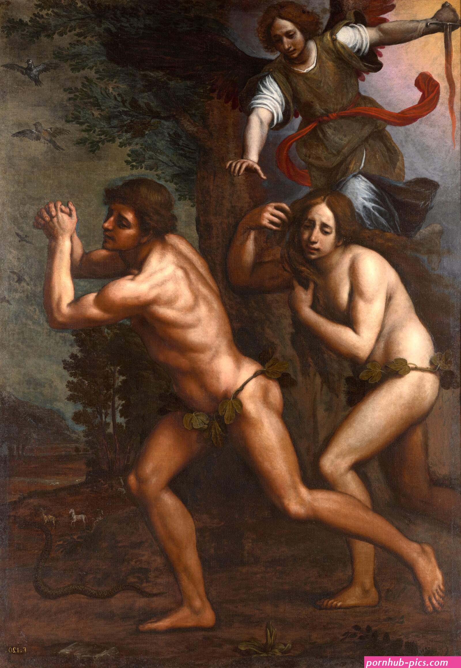 adamandevea