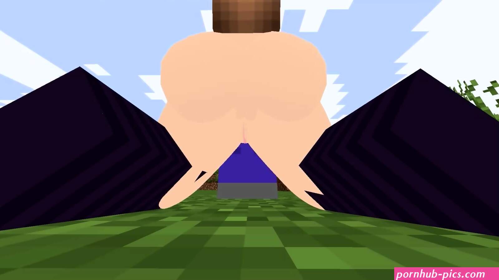 Minecraft Sex Mod