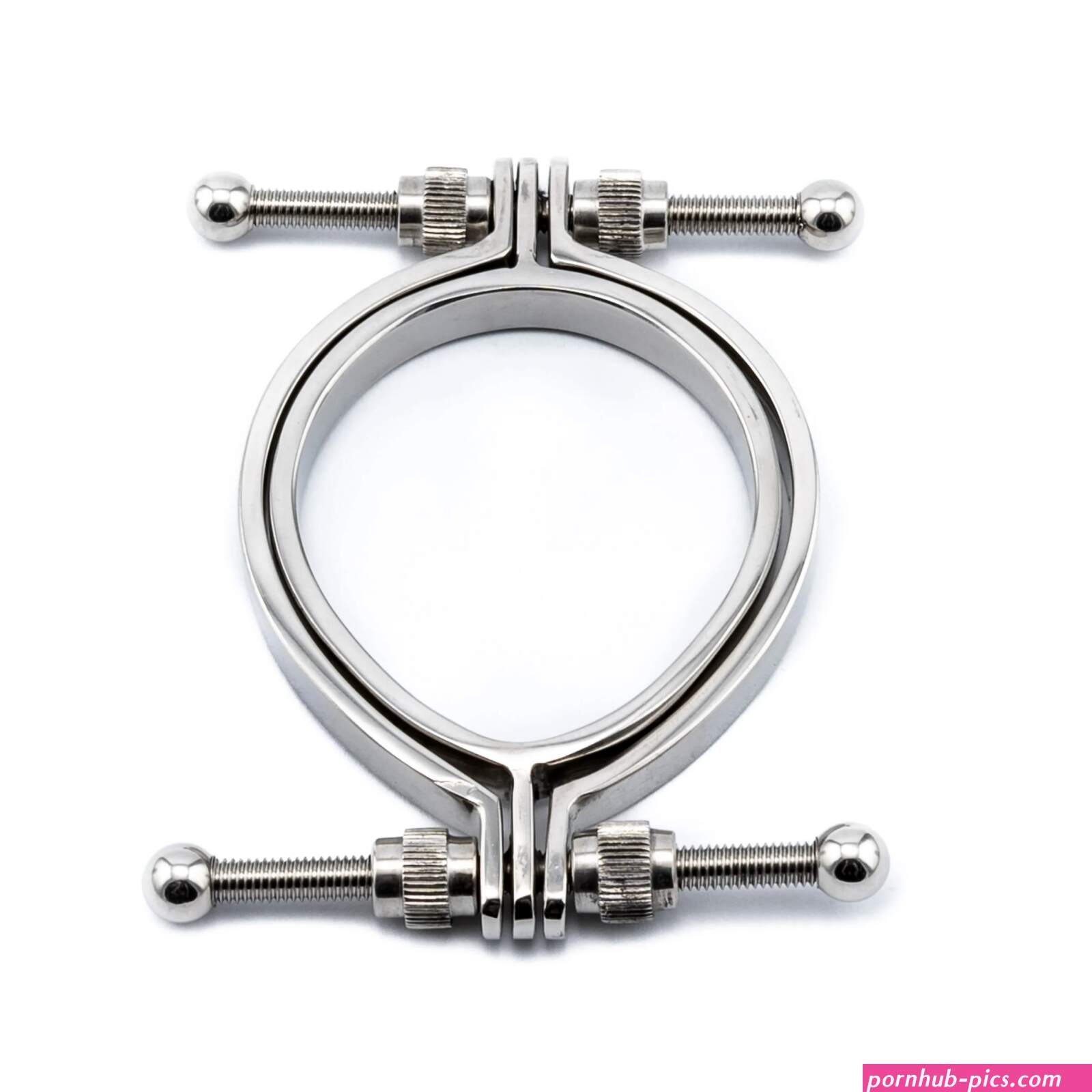 Egg Shaped Pussy Clamp BDSM Labia Spreader Clamps Toy | Hardrrr