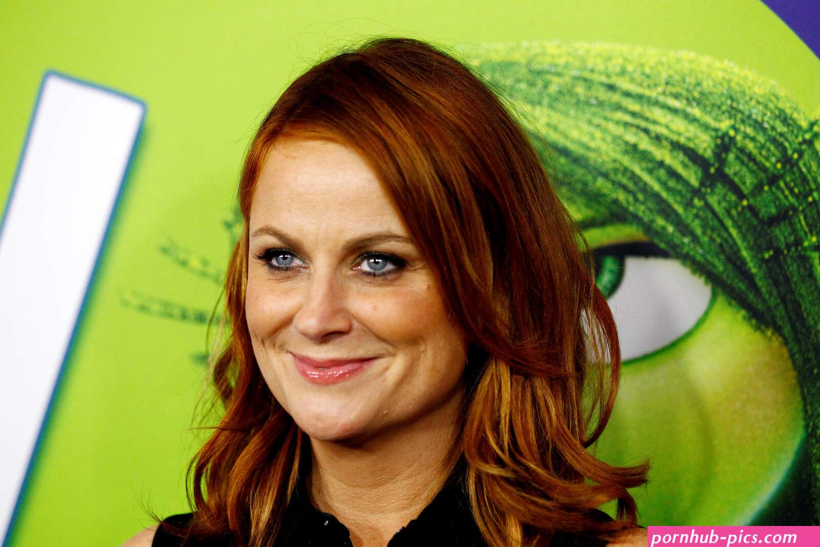 Amy Poehler Porn Pic