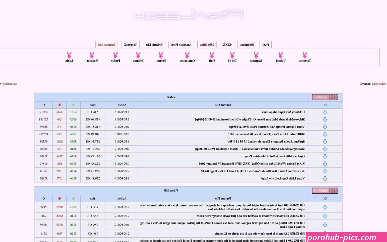 PornLeech Review 10 Torrent Sites Like PornLeech.ch 2022