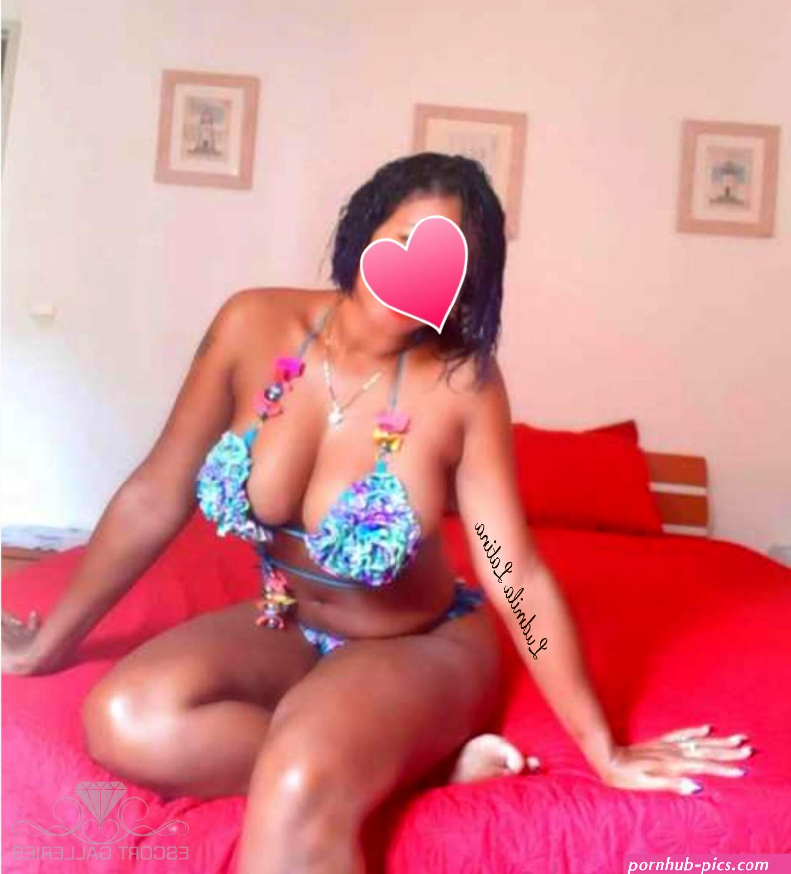 Ludimila latina 35
