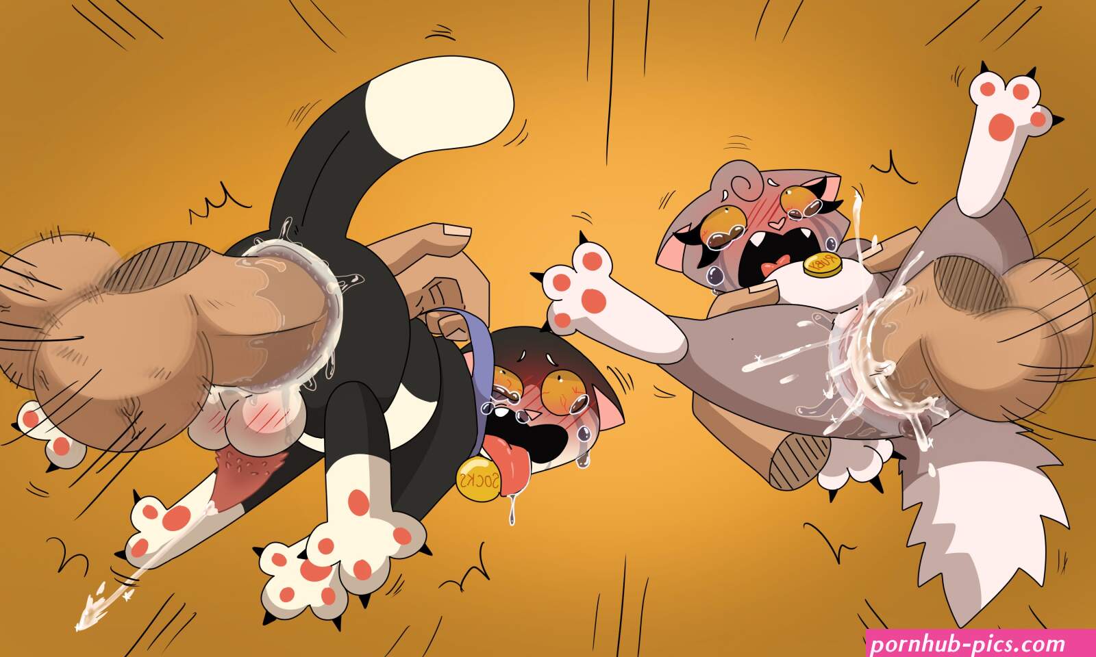 Ashfur worshipper AshfurDefender X