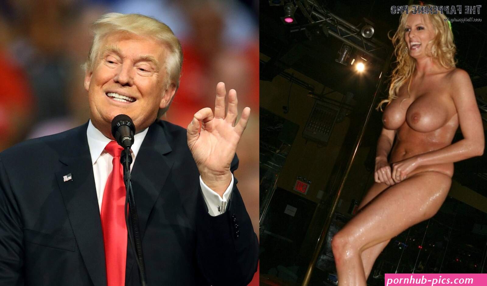 Stormy Daniels Nude Donald Trumps Girlfriend