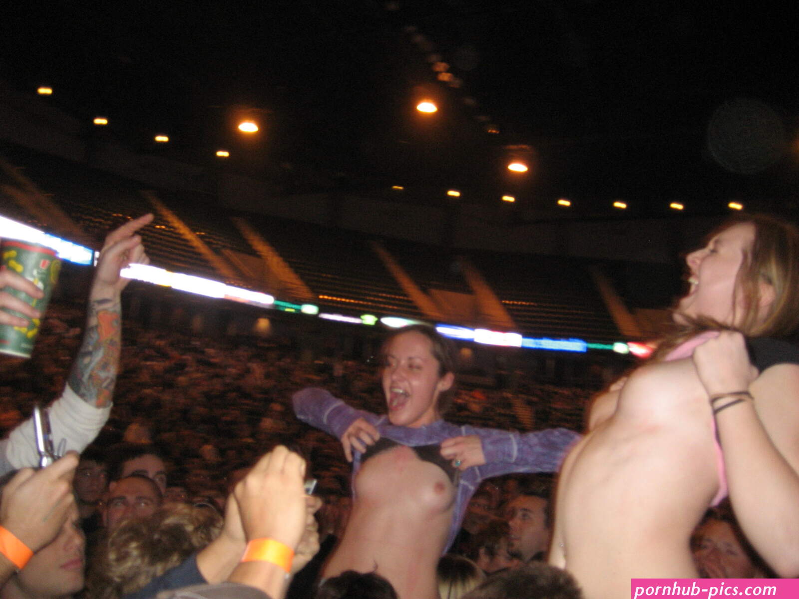 File:Concert flashing Godsmack 006.jpg