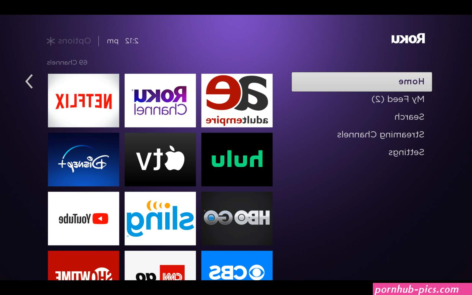 Adult Empire Roku Porn Channel