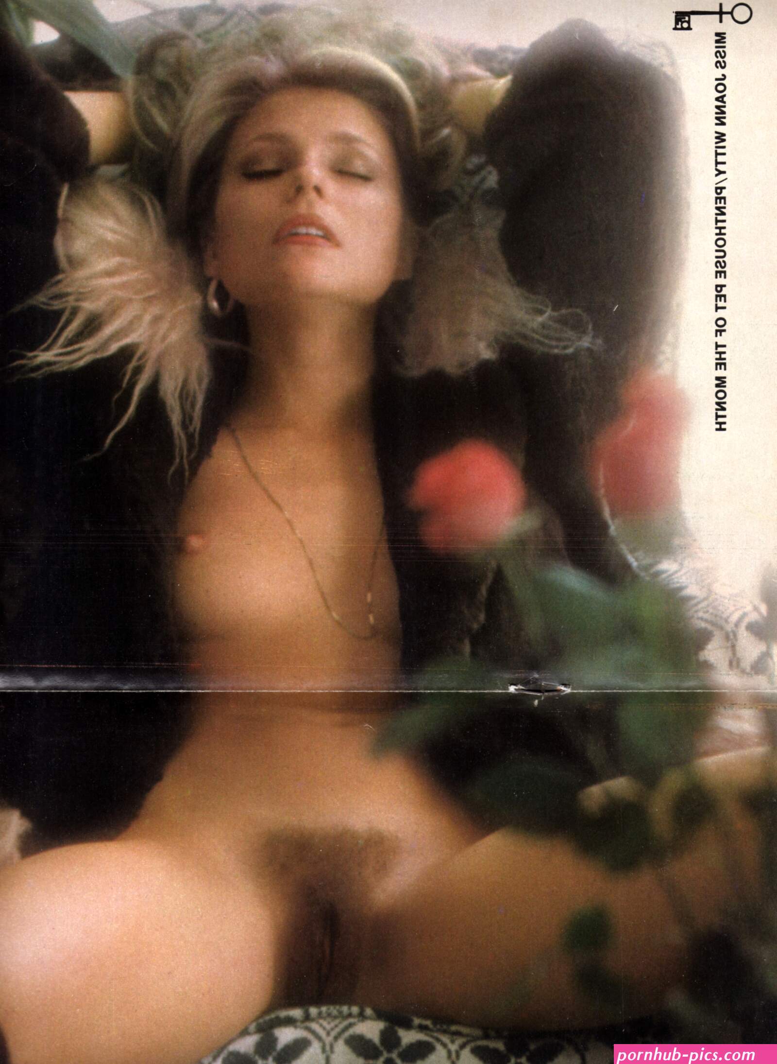 Fotos de Priscilla Barnes desnuda
