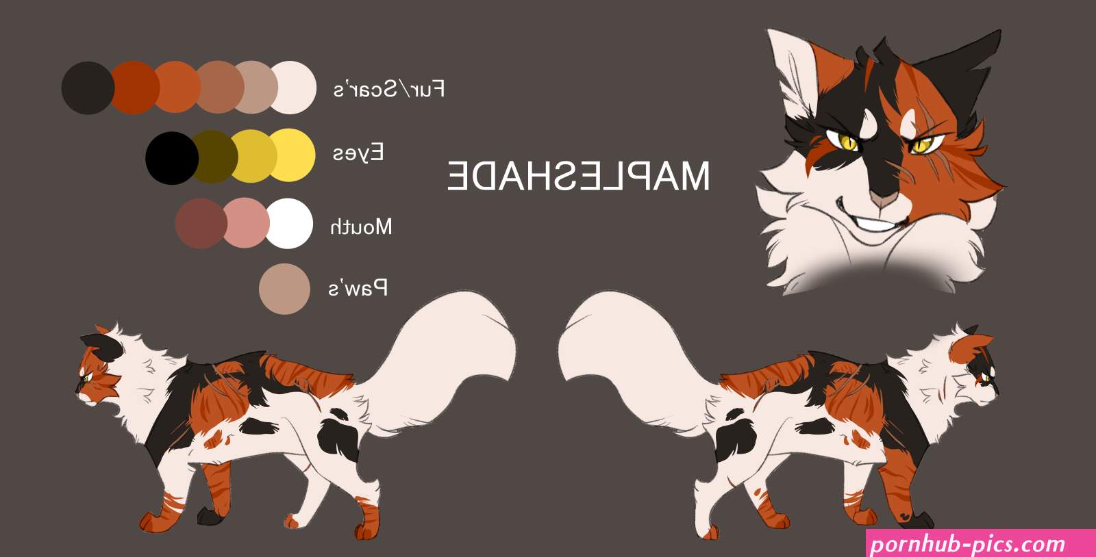 Warrior cats ultimate edition skins