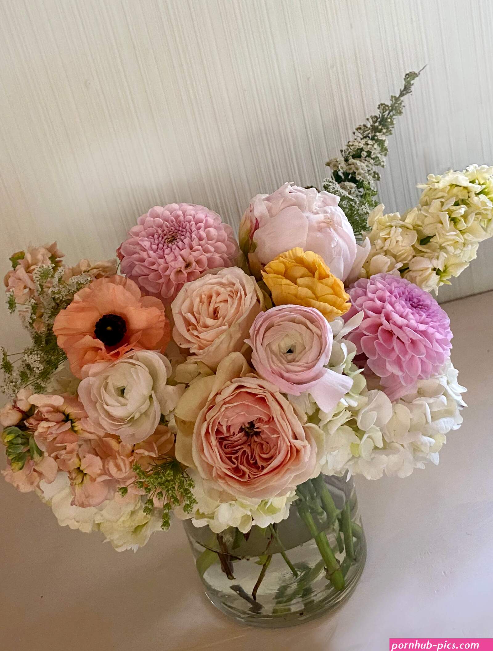 Arabella de rose