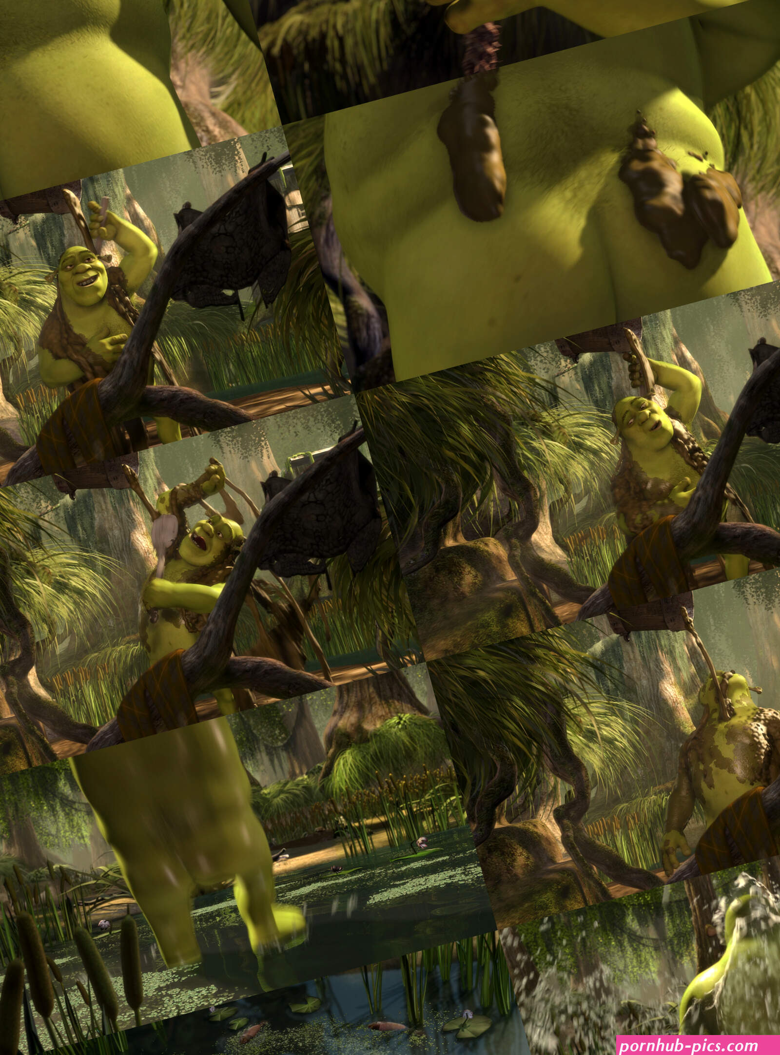 NM 272: Shrek by JaneMJ on DeviantArt