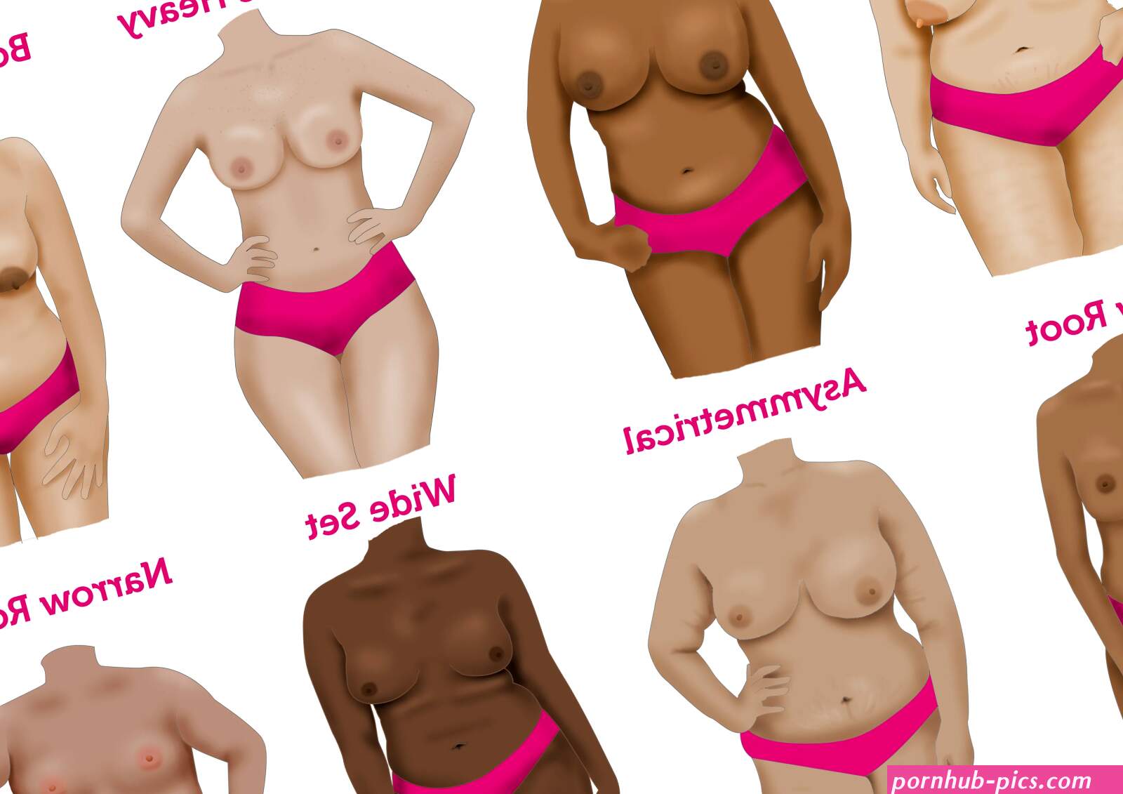 what type of boobs do you have