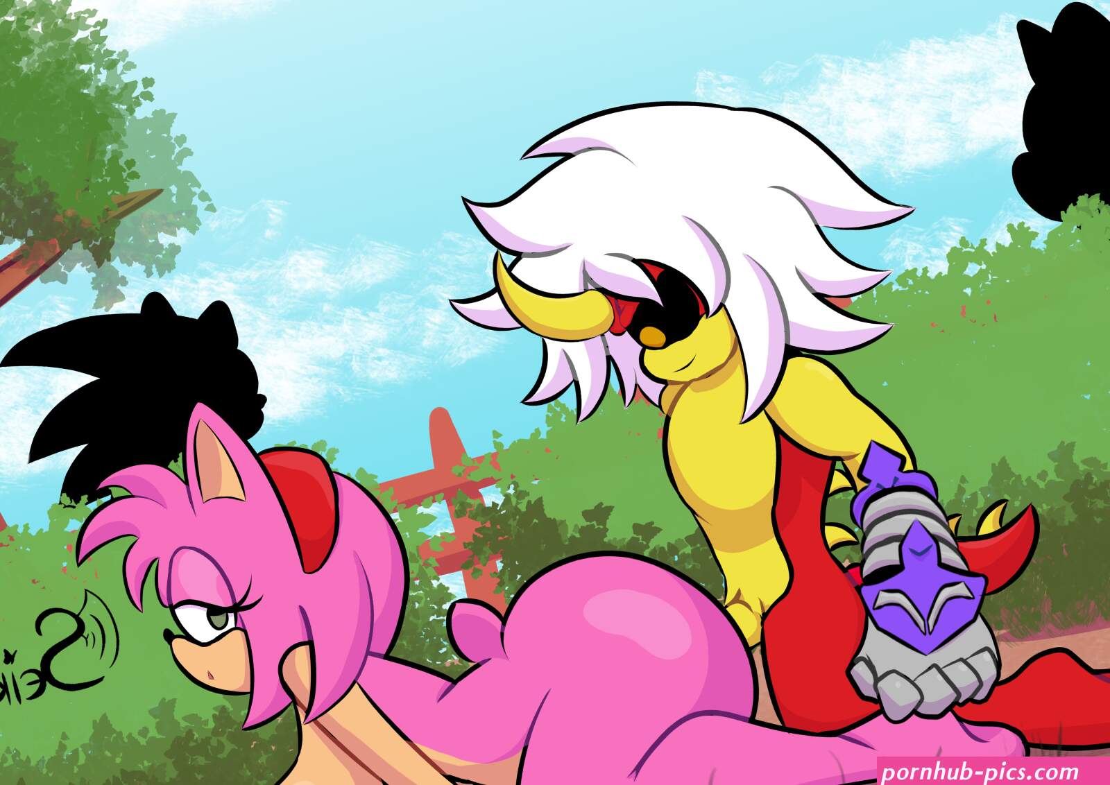 Amy Rose Public Sex in The Park by SeikatsuEclipse on Newgrounds